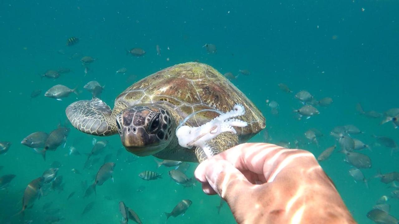 Pousada Conves - Ilha Grande Praia de Araçatiba Dış mekan fotoğraf