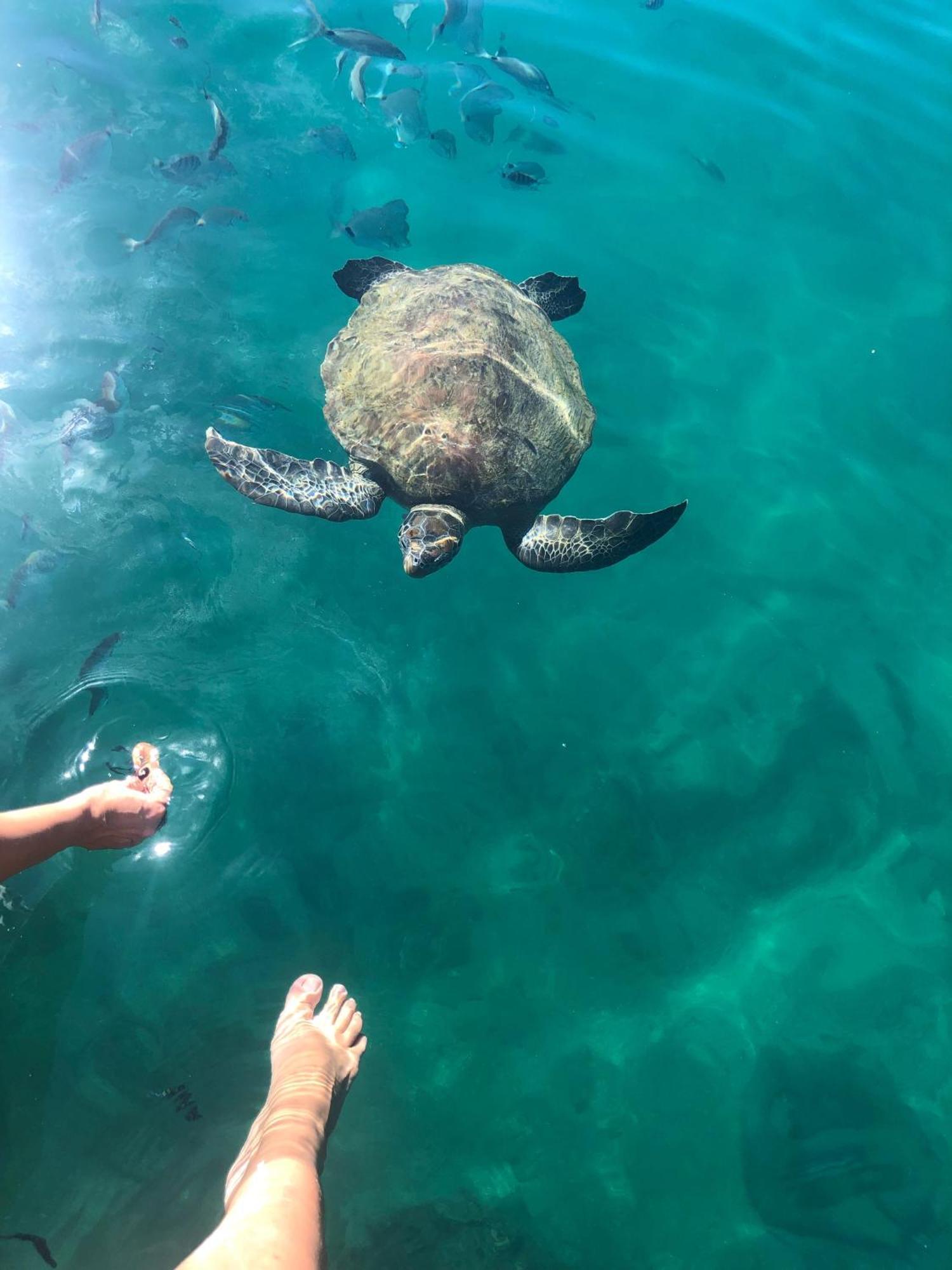 Pousada Conves - Ilha Grande Praia de Araçatiba Dış mekan fotoğraf